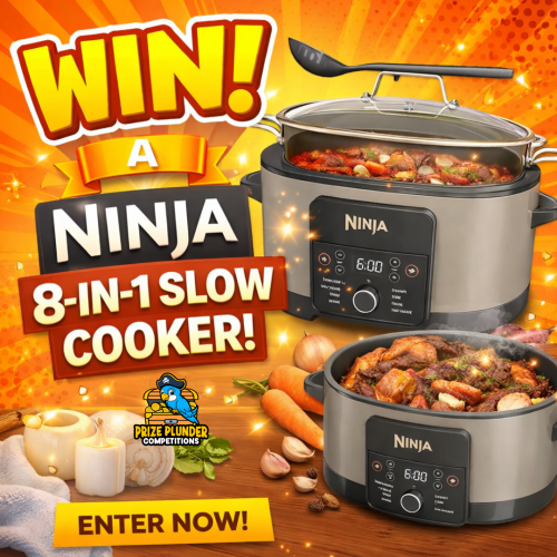 Ninja Foodi 8 - in - 1 Slow cooker Stone Gold or £85 CASH!