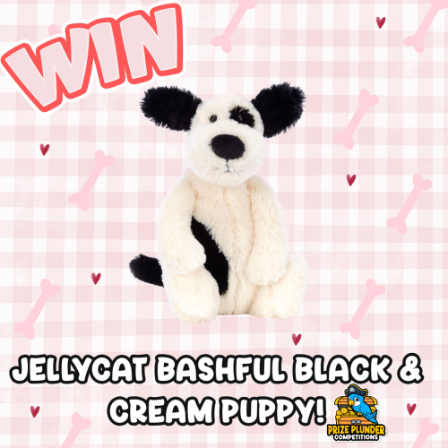 Jellycat Bashful Black & Cream Puppy - Small!